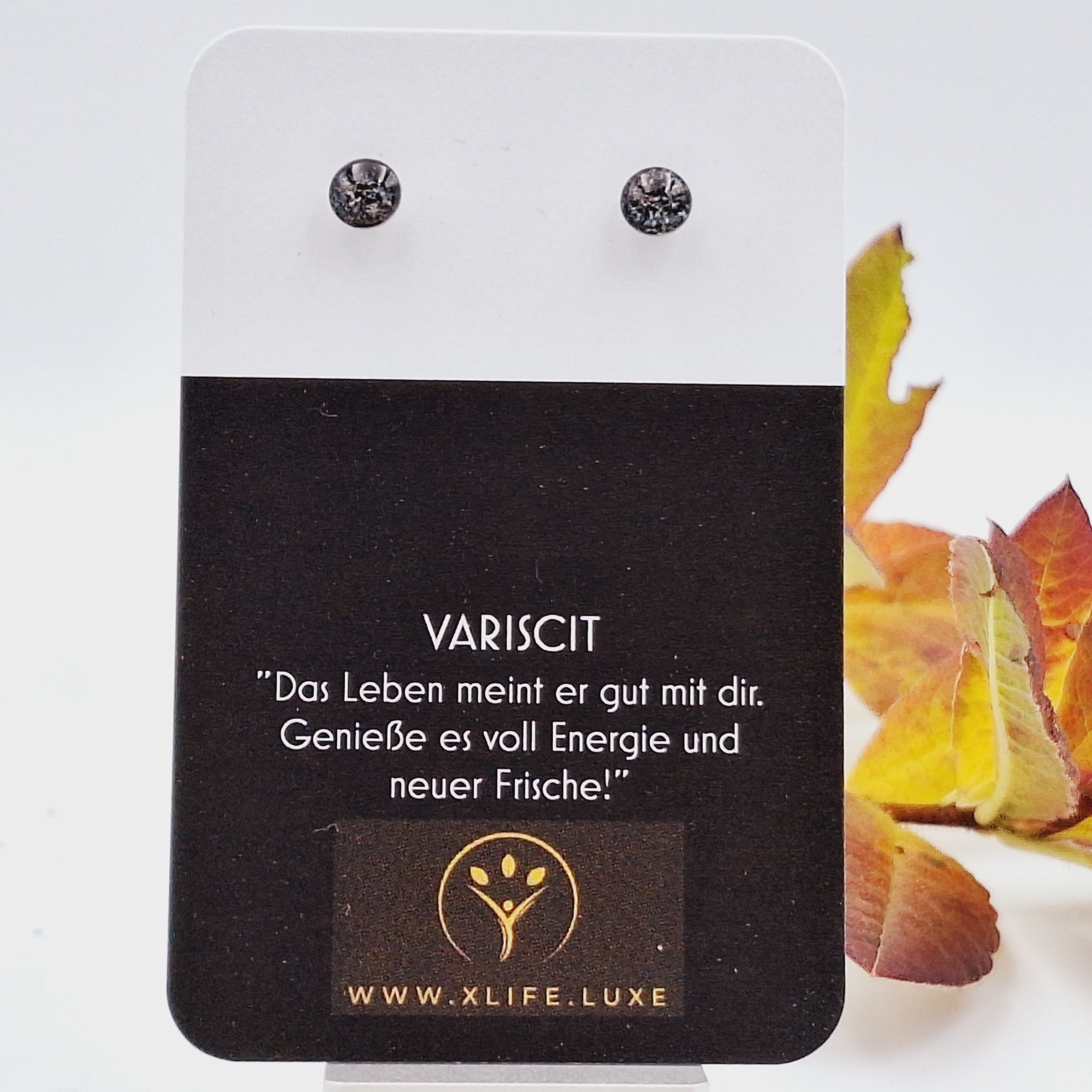 Variscit Ohrstecker 6mm Edelstahl